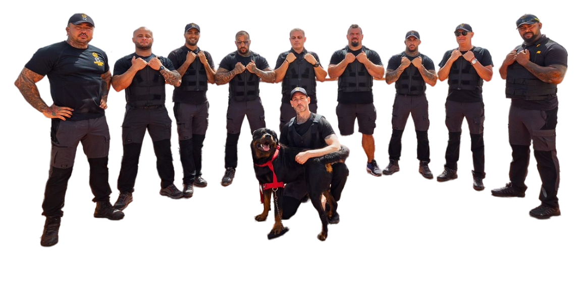 Equipo de desokupación legal en Canarias